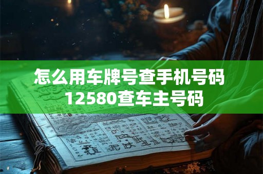怎么用车牌号查手机号码  12580查车主号码