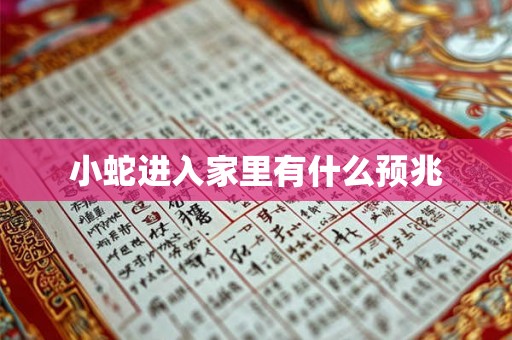 小蛇进入家里有什么预兆