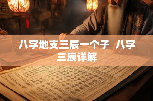 八字地支三辰一个子 八字三辰详解 八字地支三辰一个子 八字三辰详解