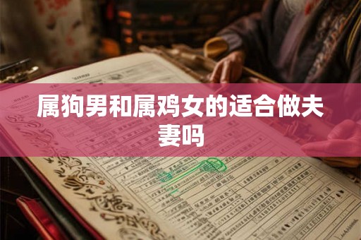 属狗男和属鸡女的适合做夫妻吗