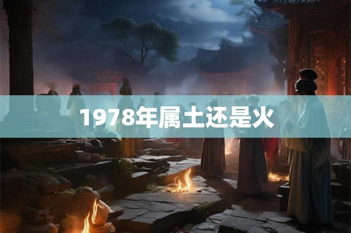 1978年属土还是火