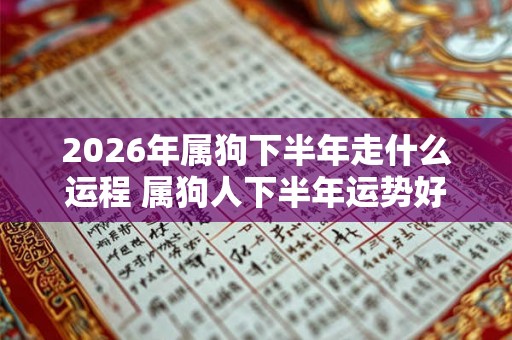 2026年属狗下半年走什么运程 属狗人下半年运势好不好