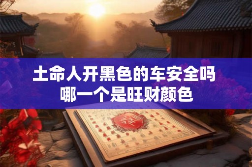 土命人开黑色的车安全吗 哪一个是旺财颜色