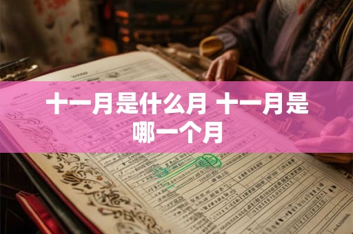 十一月是什么月 十一月是哪一个月