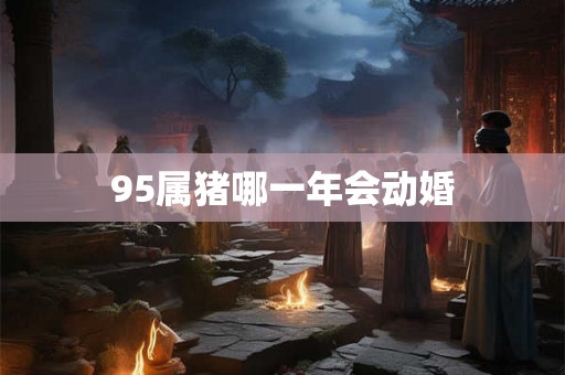 95属猪哪一年会动婚