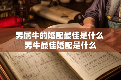 男属牛的婚配最佳是什么 男牛最佳婚配是什么