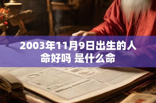 2003年11月9日出生的人命好吗 是什么命