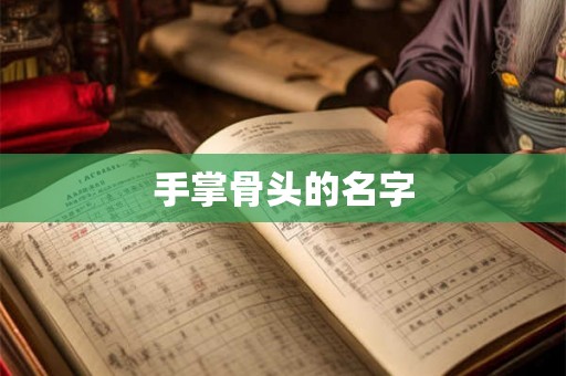 手掌骨头的名字