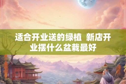 适合开业送的绿植  新店开业摆什么盆栽最好
