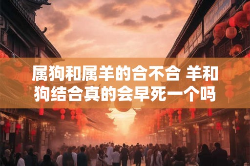 属狗和属羊的合不合 羊和狗结合真的会早死一个吗