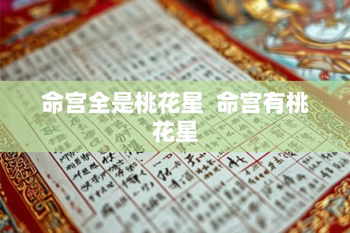 命宫全是桃花星  命宫有桃花星