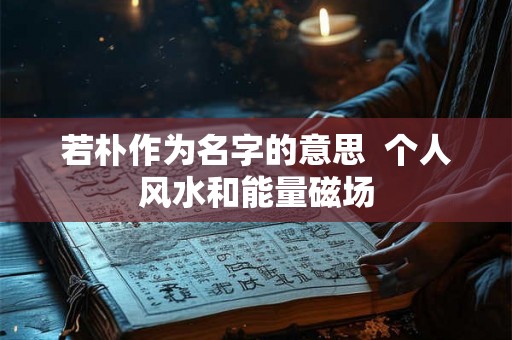 若朴作为名字的意思  个人风水和能量磁场