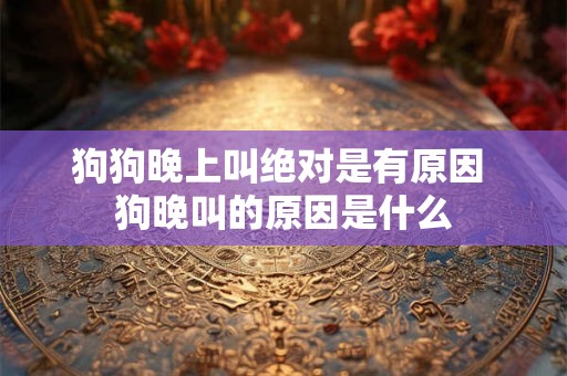 狗狗晚上叫绝对是有原因 狗晚叫的原因是什么