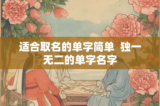 适合取名的单字简单  独一无二的单字名字