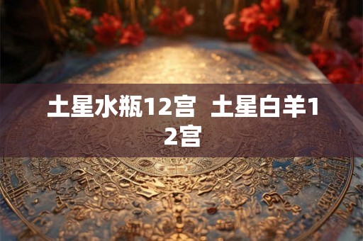 土星水瓶12宫  土星白羊12宫
