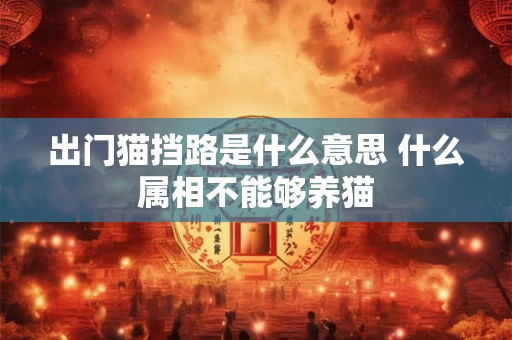 出门猫挡路是什么意思 什么属相不能够养猫 出门猫挡路是什么意思 什么属相不能够养猫