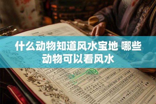 什么动物知道风水宝地 哪些动物可以看风水 什么动物知道风水宝地 哪些动物可以看风水