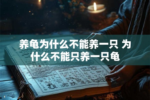 养龟为什么不能养一只 为什么不能只养一只龟