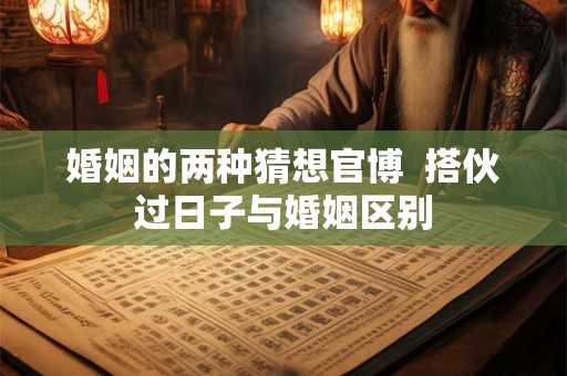婚姻的两种猜想官博  搭伙过日子与婚姻区别