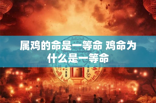 属鸡的命是一等命 鸡命为什么是一等命