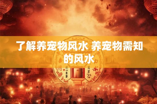 了解养宠物风水 养宠物需知的风水 了解养宠物风水 养宠物需知的风水