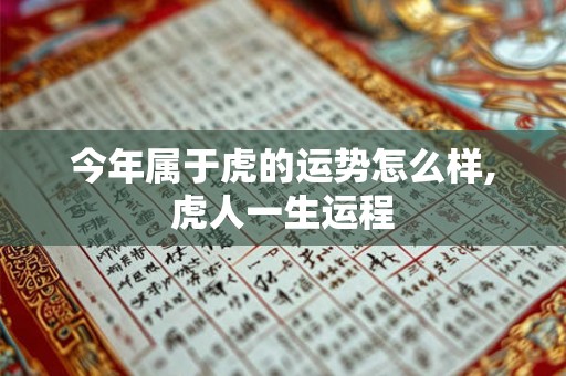 今年属于虎的运势怎么样,虎人一生运程