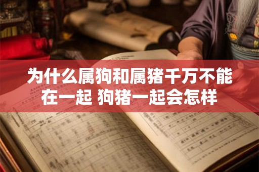 为什么属狗和属猪千万不能在一起 狗猪一起会怎样 为什么属狗和属猪千万不能在一起 狗猪一起会怎样