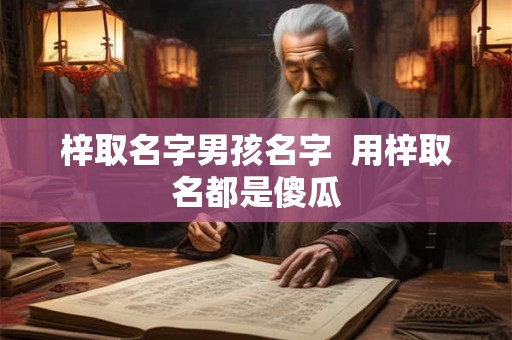 梓取名字男孩名字  用梓取名都是傻瓜