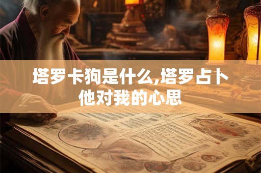 塔罗卡狗是什么,塔罗占卜他对我的心思