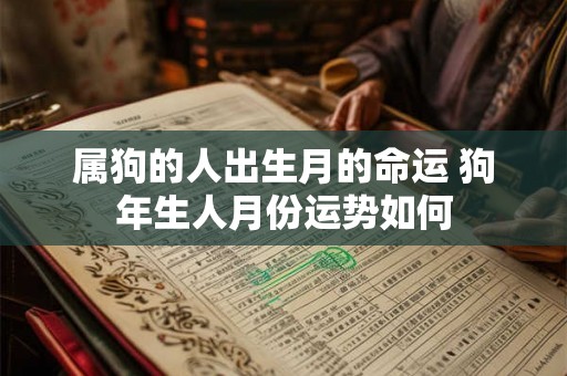 属狗的人出生月的命运 狗年生人月份运势如何