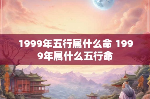 1999年五行属什么命 1999年属什么五行命