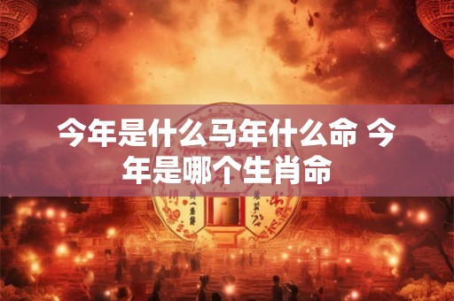 今年是什么马年什么命 今年是哪个生肖命