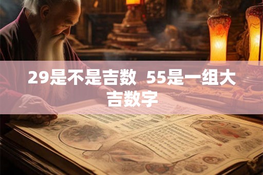 29是不是吉数  55是一组大吉数字