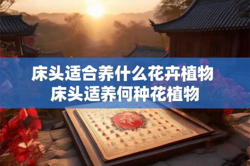 床头适合养什么花卉植物 床头适养何种花植物