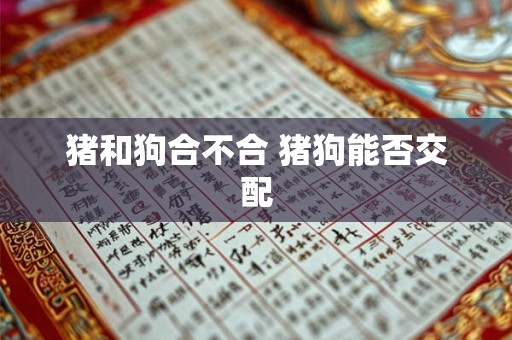 猪和狗合不合 猪狗能否交配