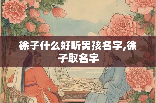 徐子什么好听男孩名字,徐子取名字