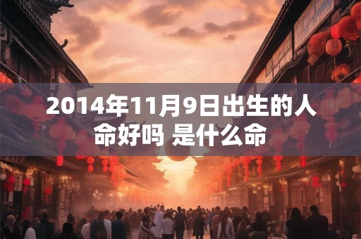 2014年11月9日出生的人命好吗 是什么命