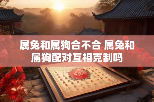 属兔和属狗合不合 属兔和属狗配对互相克制吗