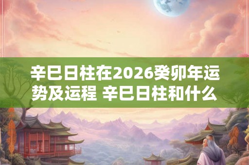 辛巳日柱在2026癸卯年运势及运程 辛巳日柱和什么日柱最配