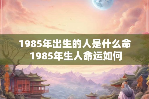 1985年出生的人是什么命 1985年生人命运如何