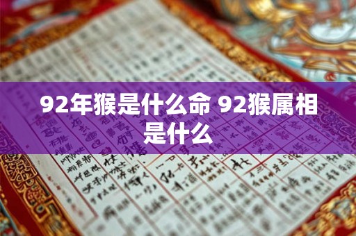 92年猴是什么命 92猴属相是什么