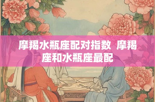摩羯水瓶座配对指数 摩羯座和水瓶座最配 摩羯水瓶座配对指数 摩羯座和水瓶座最配