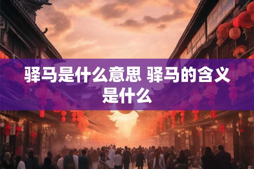 驿马是什么意思 驿马的含义是什么 驿马是什么意思 驿马的含义是什么