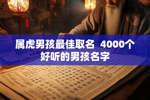 属虎男孩最佳取名  4000个好听的男孩名字