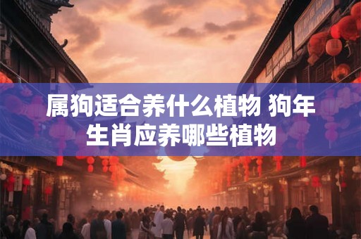 属狗适合养什么植物 狗年生肖应养哪些植物