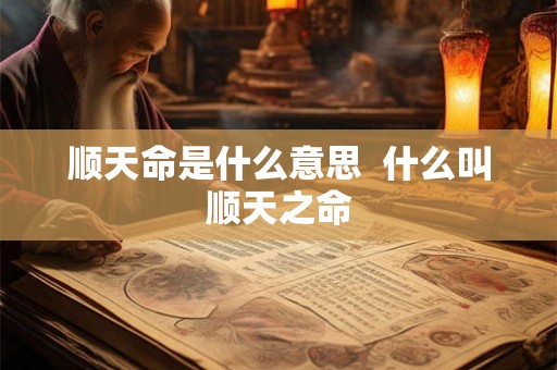 顺天命是什么意思  什么叫顺天之命