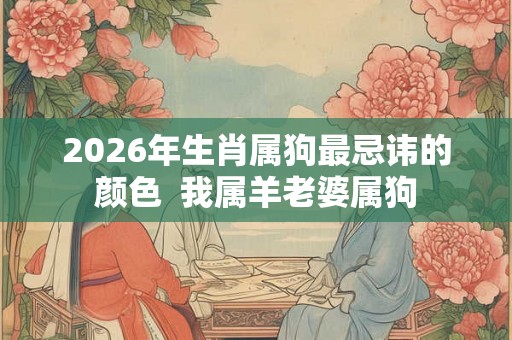 2026年生肖属狗最忌讳的颜色  我属羊老婆属狗