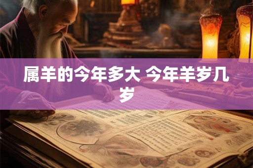 属羊的今年多大 今年羊岁几岁