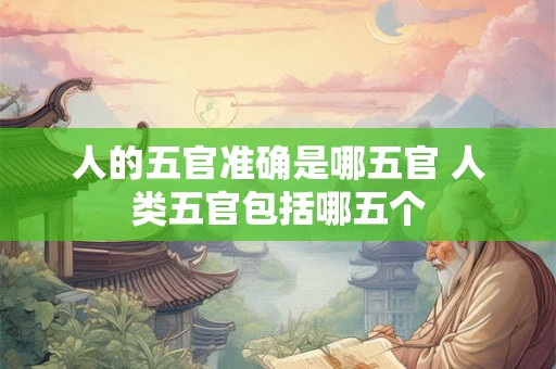 人的五官准确是哪五官 人类五官包括哪五个