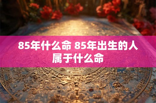 85年什么命 85年出生的人属于什么命